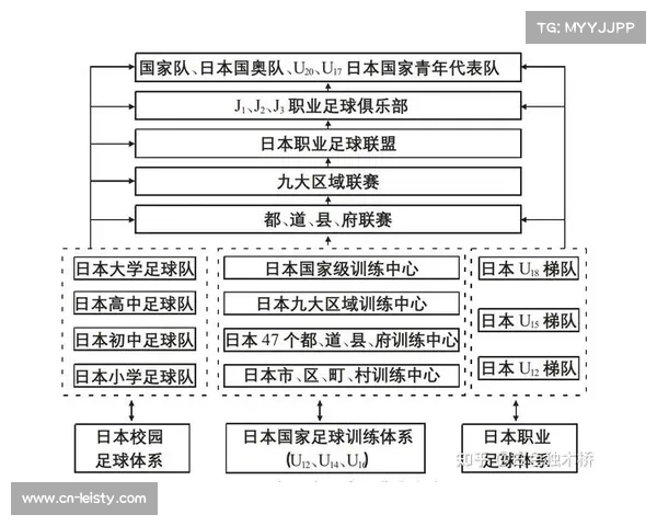 足球青训产业资金投入，职业梯队与校园足球资源对比
