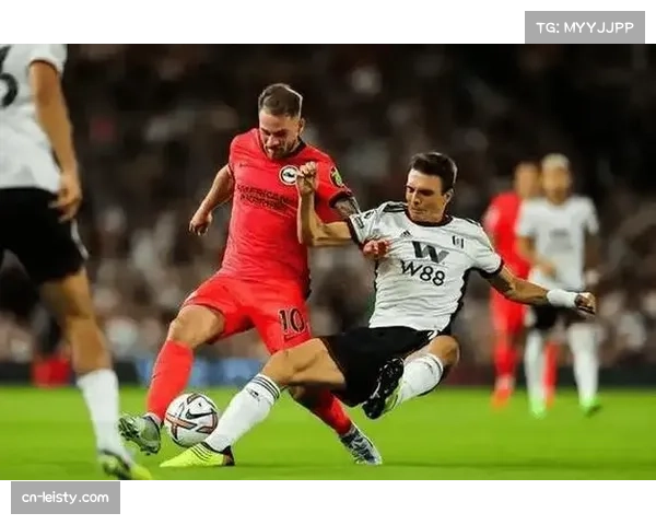 布伦特福德1-1战平埃弗顿,保级关键战中各取一分